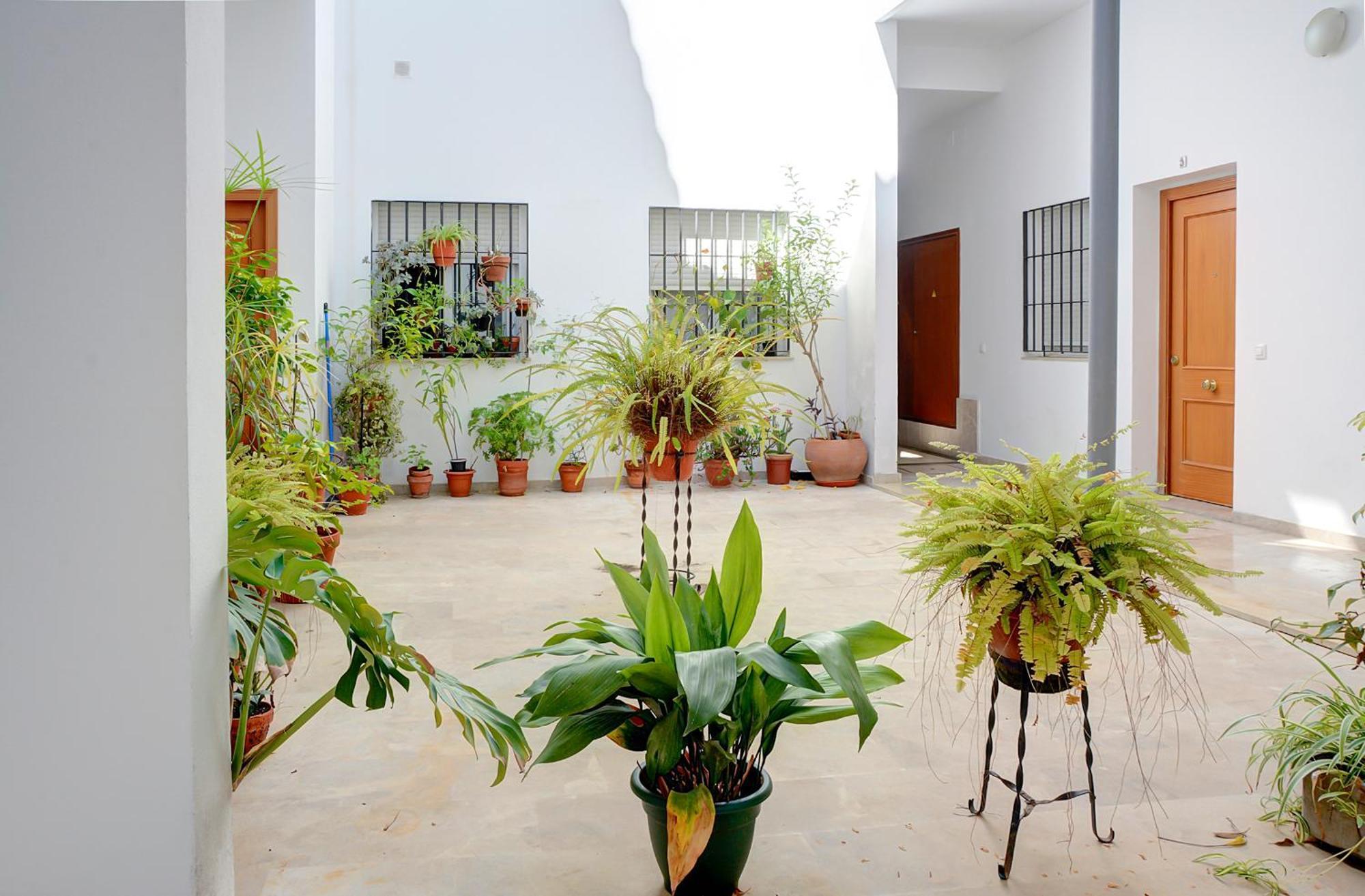 Estudio Plaza De La Encarnacion Sevilla Eksteriør billede